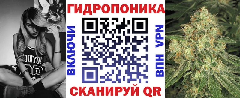 Купить наркотики сайты Солнечногорск Псилоцибиновые грибы  Меф  ГАШ  А ПВП 