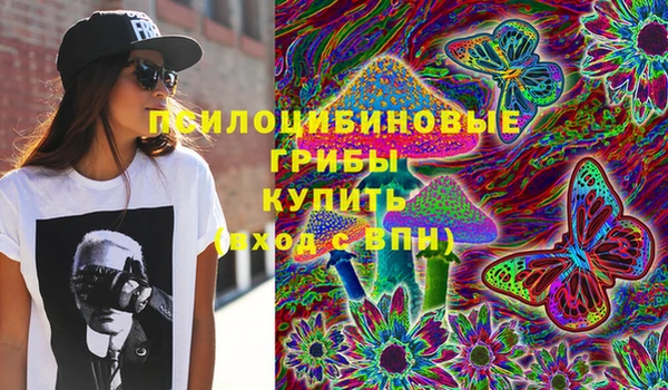 Альфа ПВП Аркадак